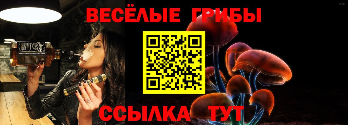 Северск  Псилоцибиновые грибы MAGIC MUSHROOMS  Вход с VPN 