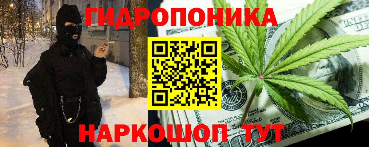Конопля планчик Северск